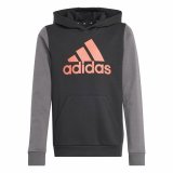 Sweatshirt med htte til piger Adidas Essentials Gr #1