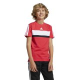 B�rne Kort�rmet T-shirt Adidas J 3S TIB T JI6213 R�d #2