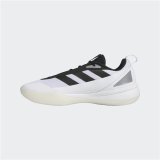 L�besko til voksne Adidas Front Court #2