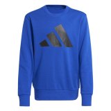 Tr�ningsdragt til b�rn Adidas Big Logo French Terry Jog Bl� #2