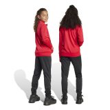 Tr�ningsdragt til b�rn Adidas Big Logo R�d #7