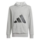 Sweatshirt med h�tte til piger Adidas Big Logo French Terry Hd Lysegr� #2