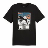 Kortrmet T-shirt til Mnd Puma GRAPHICS Mountain #1