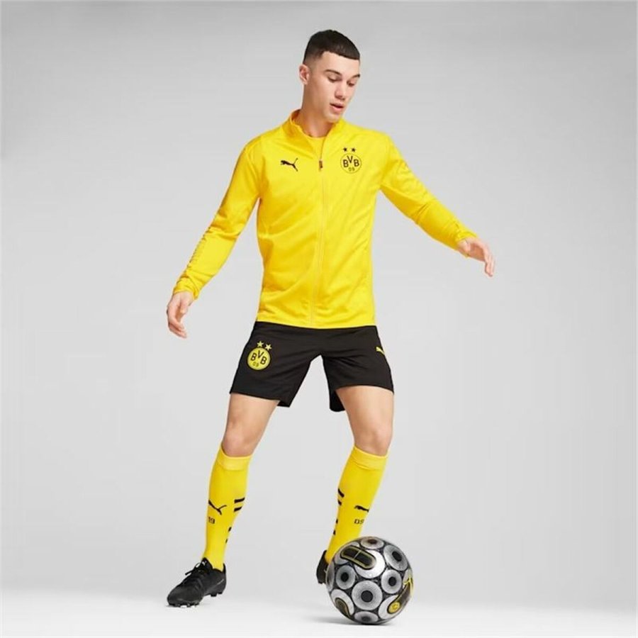 Sport Jakke til Mnd Puma Borussia Dortmund Gul #3