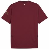Kortrmet fodboldtrje til mnd Puma Mcfc Third Jersey Replica #2