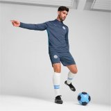Trning sweatshirt til voksne Puma Manchester City 24/25 Training #6