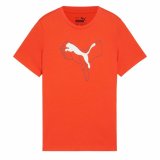 Brne Kortrmet T-shirt Puma #1