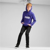 Httetrje til Brn Puma Essentials+ 2 Col Big Logo Bl #5