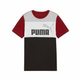 Brne Kortrmet T-shirt Puma Ess Block #1