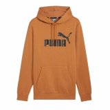 Httetrje til Mnd Puma Essentials Big Logo Hoodie Fl #1