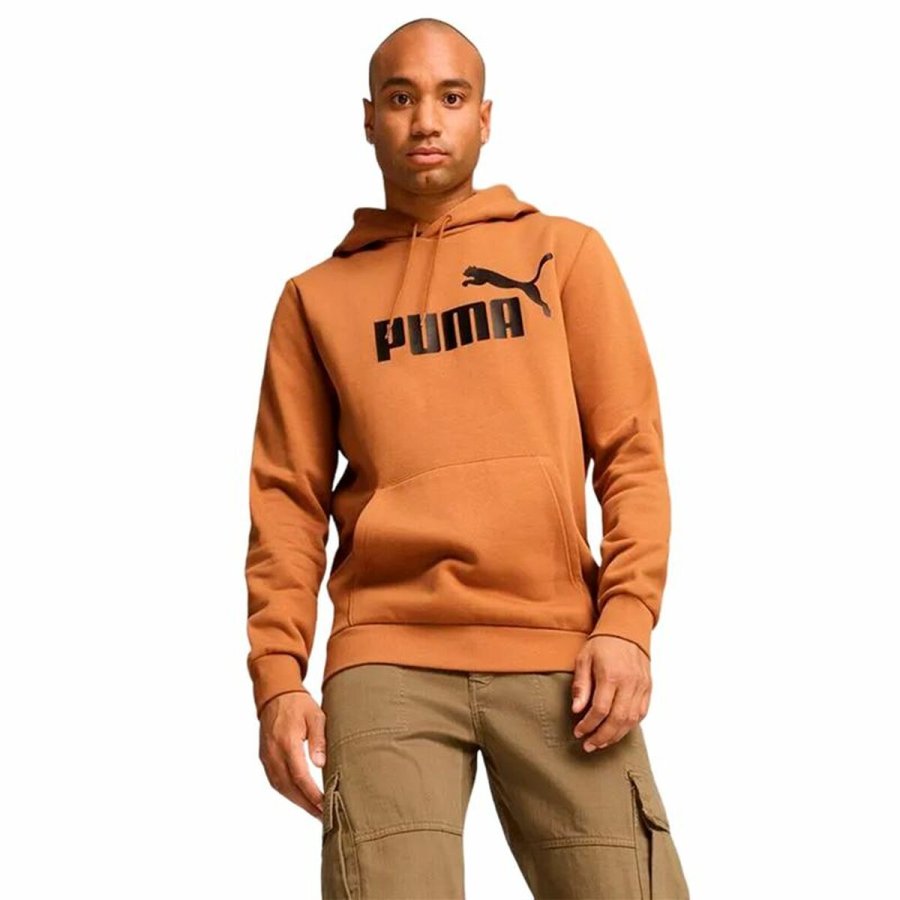 Httetrje til Mnd Puma Essentials Big Logo Hoodie Fl #3