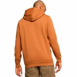 Httetrje til Mnd Puma Essentials Big Logo Hoodie Fl #4
