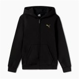 Jakke Brns Puma Essentials+ Graphic Hoodie Fz Sort #1