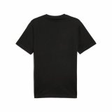 Kort�rmet T-shirt til M�nd Puma Graphics Mountain Tee #2