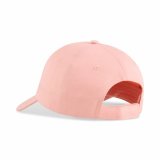 Brnekasket Puma Essentials No.1 Logo Bb Cap Pink (Junior) #2