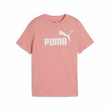 Brne Kortrmet T-shirt Puma Puma Essentials No. 1 Logo G Pink #1