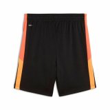 Sportssko til Brn Puma Individualliga Train #2