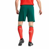 Trningsbukser til fodbold til voksne Puma Portugal Grn Oliven Mnd #4