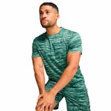 Kort�rmet T-shirt til M�nd Puma Tad Essentials Bl� Gr�n #3