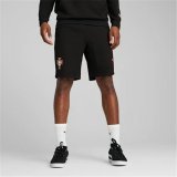 Sport Shorts Puma Fpf Ftblnrgy #3