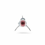 Action Figurer Schleich Megalodon #2