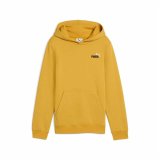 Sweatshirt med h�tte til piger Puma Essentials 2 Gylden #1