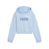 Sweatshirt med h�tte til piger Puma Essentials 2 #1