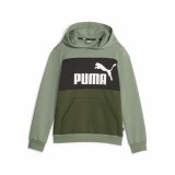 Sweatshirt til Brn Puma Ess Block Fl Grn #1