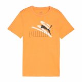 Brne Kortrmet T-shirt Puma Essentials+ AB Summer #1