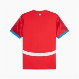 Kortrmet T-shirt til Mnd Puma Repplica Checa 2024 #2