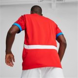 Kortrmet T-shirt til Mnd Puma Repplica Checa 2024 #4