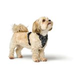 Hundesele Hunter DIVO UP Sort L/XL #3