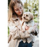 Hundesele Hunter DIVO UP Beige S #4