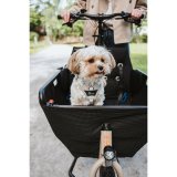 Hundesele Hunter DIVO UP Beige S #7