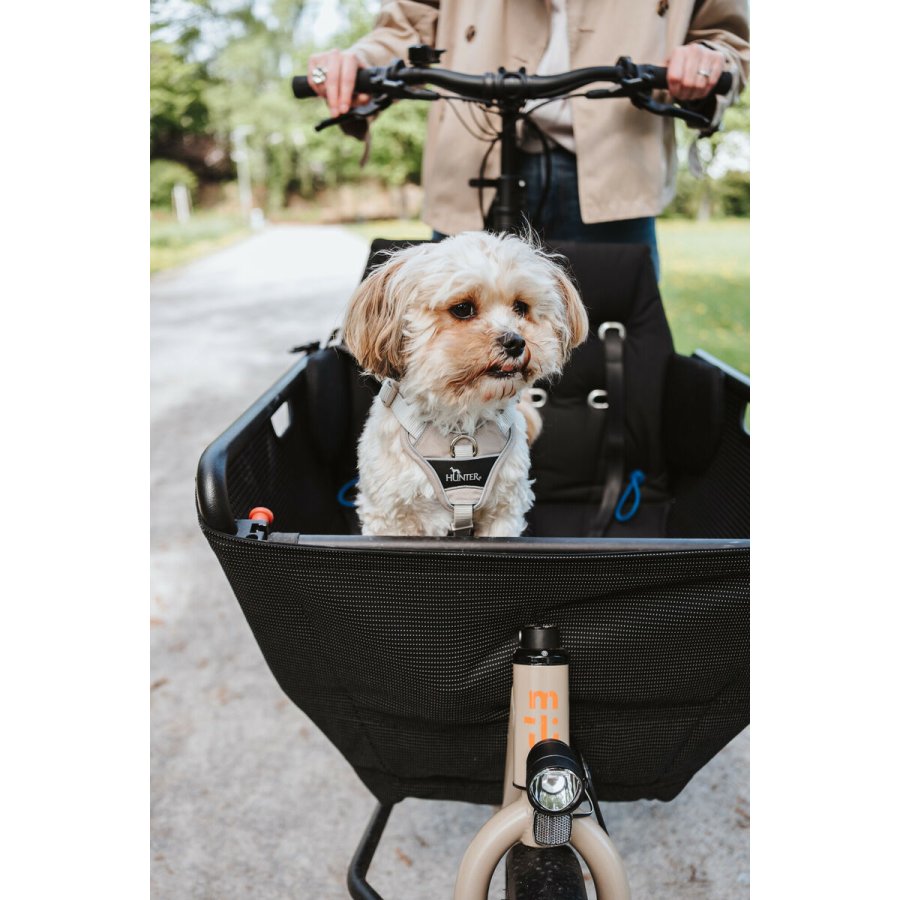 Hundesele Hunter DIVO UP Beige L/XL #7