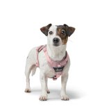 Hundesele Hunter DIVO UP Pink L #5