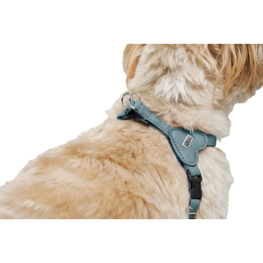 Hundesele Hunter SOHO MINI Bl #5