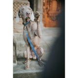 Hundebly Hunter Bl 100 cm #4