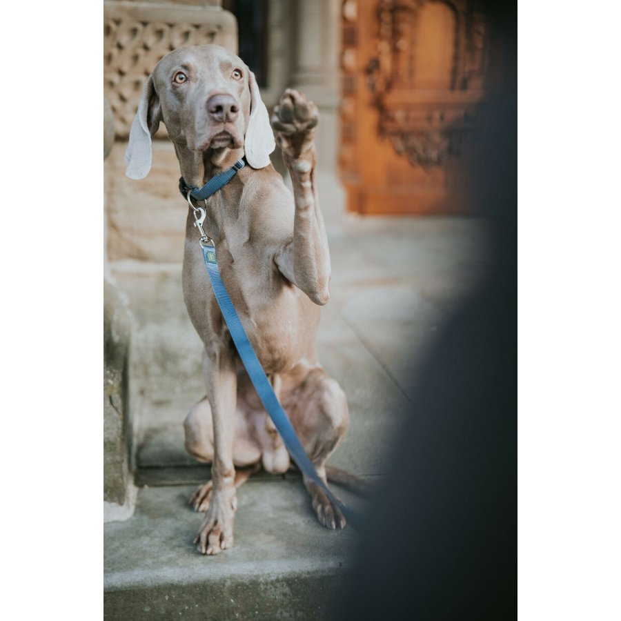 Hundebly Hunter Bl 100 cm #4