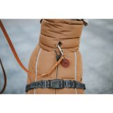 Kledyrs bekldning Hunter PAXSON Brun Polyester #2