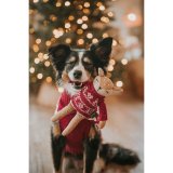 Legetj til hunde Hunter Birka Brun Hjort #4