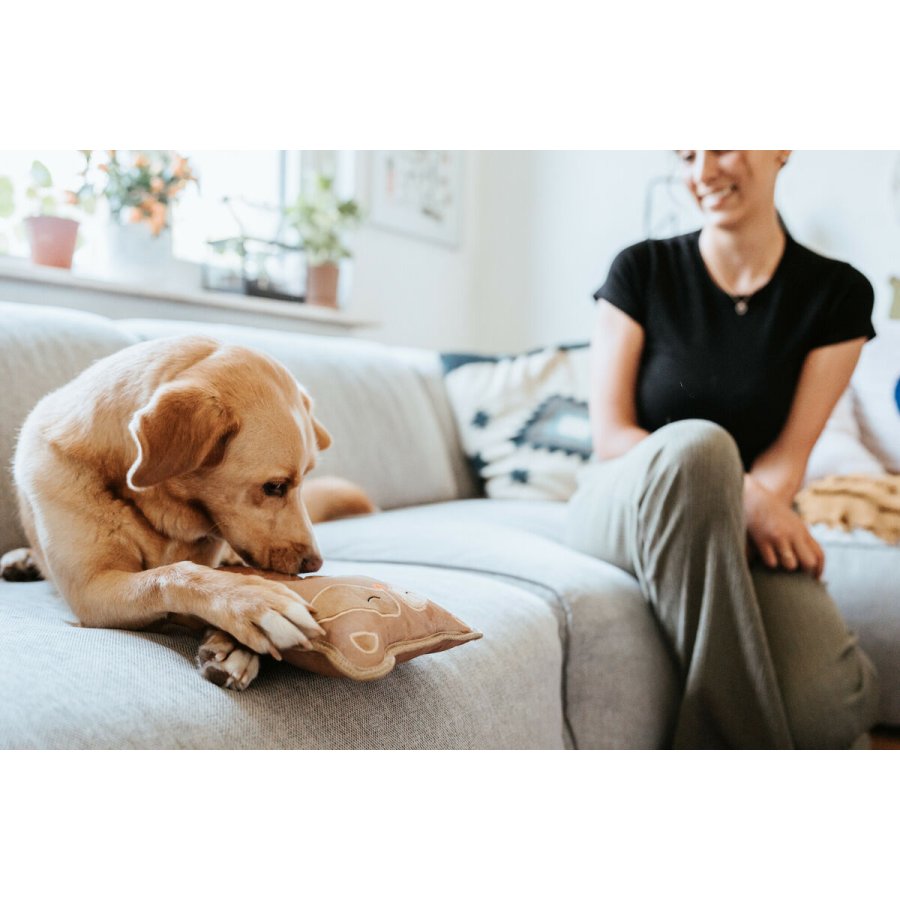 Legetj til hunde Hunter Tough Tundra Beige Vaskebjrn #3