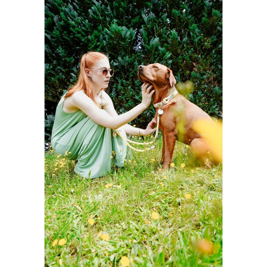 Hundehalsbnd Hunter Malia Lime M/L 45-54 cm #6