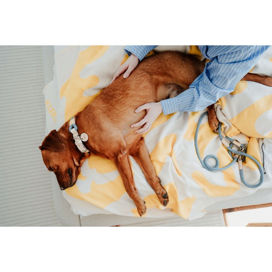 Hundehalsbnd Hunter MALIA Bl S/M 35-44 cm #3