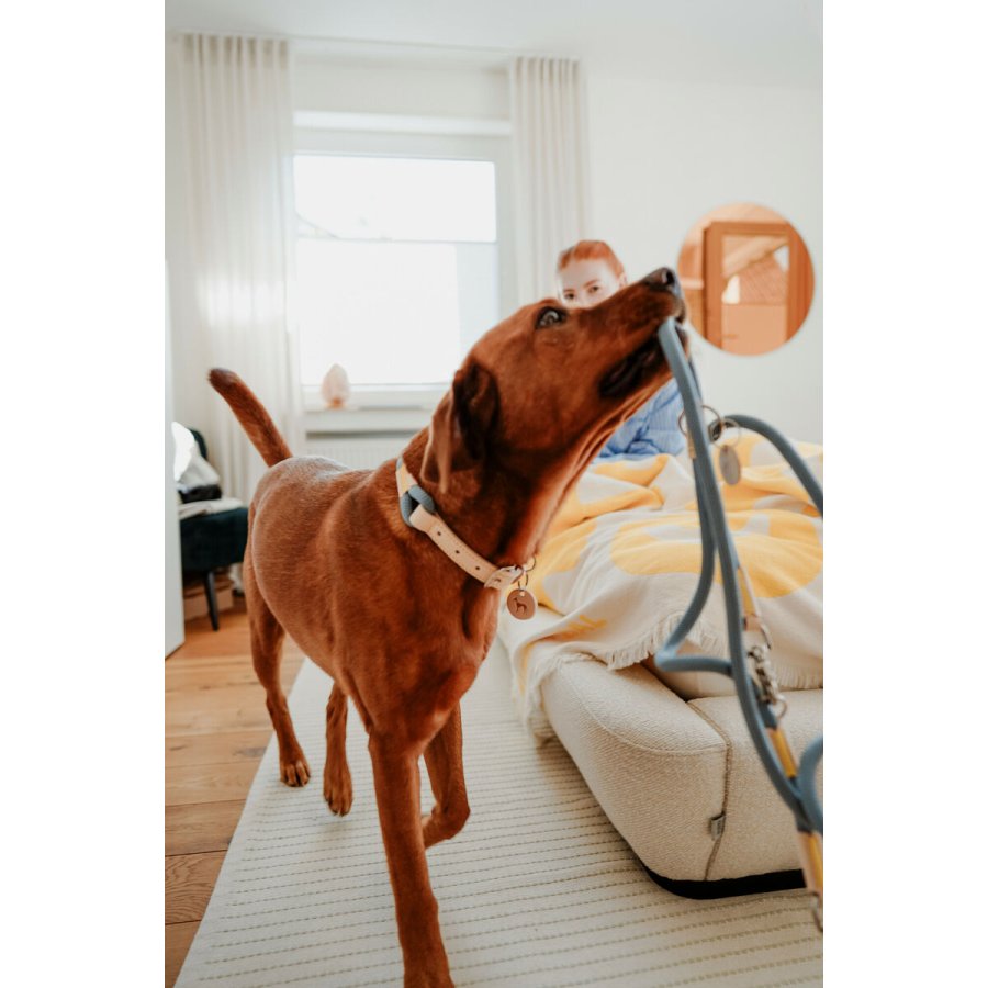 Hundebly Hunter MALIA Bl 1 x 200 cm #4