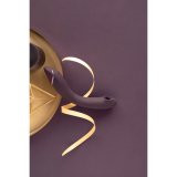 Vibrator Womanizer WOM170-AUBERGINE #11