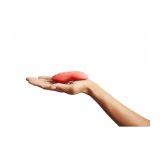 Vibrator We-Vibe #1