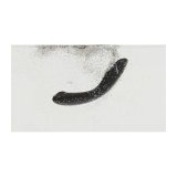 Vibrator Womanizer WOM170-GREY Gr #7