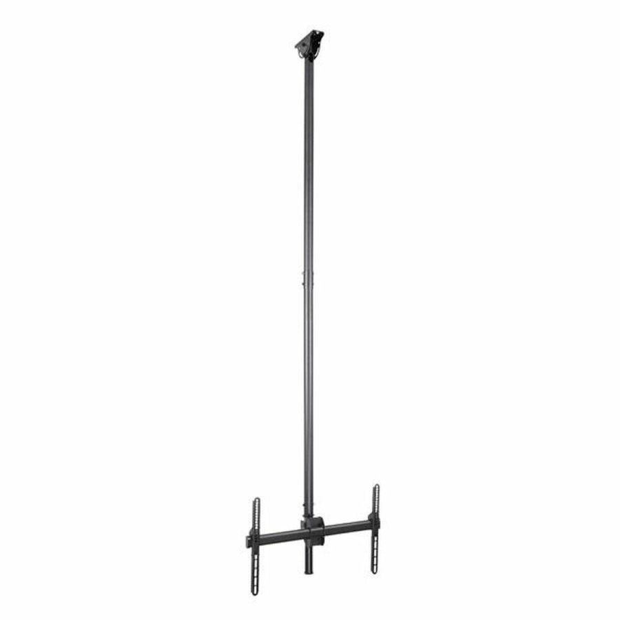 TV-holder Startech FPCEILPTBLP 50 kg 32