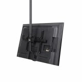 TV-holder Startech FPCEILPTBLP 50 kg 32